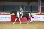 SBM_09653