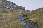 Bannerdale-1