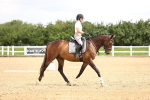 SBM_000686