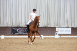 SBM_002381