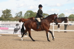 Class 306 - Ridden Foreign Breds - Part Bred portfolio