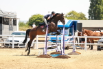 SBM_001834