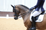 SBM_009181