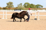 SBM_17684