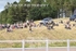 BPP_9287