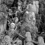 Chokokuji Temple 3