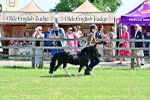 SBM_03661