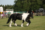 SBM_10576
