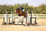 SBM_03895