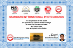 Strawars International Photo Awards_Nature