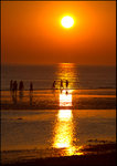 Brighton-3