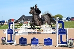 Cls 33, 7yr Old Tour portfolio