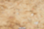 240317A-154524-07793
