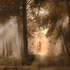 Mystic Wood