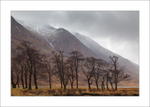 Glen Etive