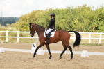 SBM_000962