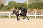 SBM_002235