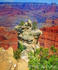 Outcrop View