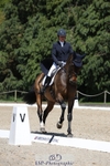 369-GIDO_G-Sally_Chamberlain-WEDTrotUp+DR portfolio