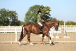 SBM_02172