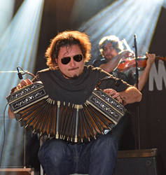 Womad 2015 portfolio