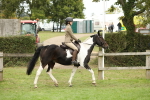 SBM_73682