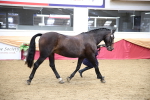 SBM_23383