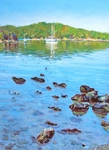 calm harbour