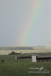 PtP 311223 931