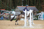 WHPC Secondary Schools Showjumping 16 November 2025 portfolio