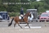 BPP_7804