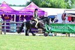 SBM_13995