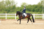 SBM_006610