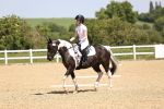 SBM_008610