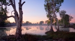 Billabong Reflections