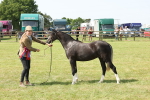 SBM_02421