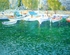 green harbour