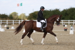 SBM_022087