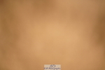 240317A-133718-06804
