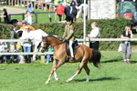 SBM_50370