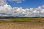 ACP_2368-1