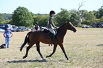 WJ6_8368