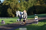 621-QUALITY.BLUE-Lucy.Boultbee-brooks-TrotUp+SJ portfolio