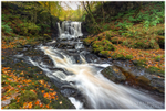 The Secret Waterfall, Glenariff Forest (IMG0996)