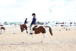 SBM_10055