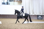 SBM_004376