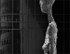 GIACOMETTI AT MOMA #3 -  NEW YORK