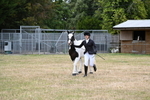 WJ6_4247