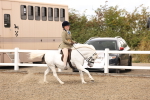 SBM_05246