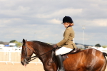 SBM_15557